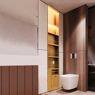Modern ontwerp badkamer douche nis met geborstelde oppervlakte afwerking en LED-licht functie