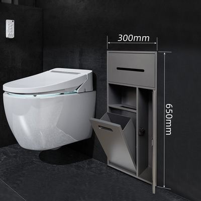 Australië Hotel Badkamer Niche Moderne ontwerpstijl voor toiletborstel en douche opslag