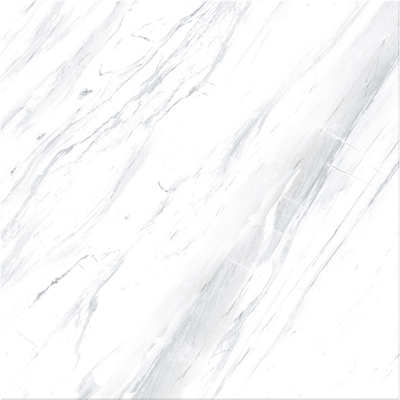 Zwarte granitvloertegels 60x60 cm voor witte marmeren vloertegels 60x60