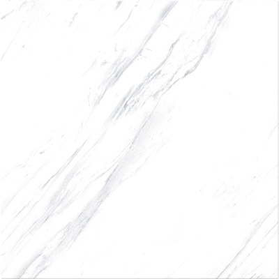 Zwarte granitvloertegels 60x60 cm voor witte marmeren vloertegels 60x60