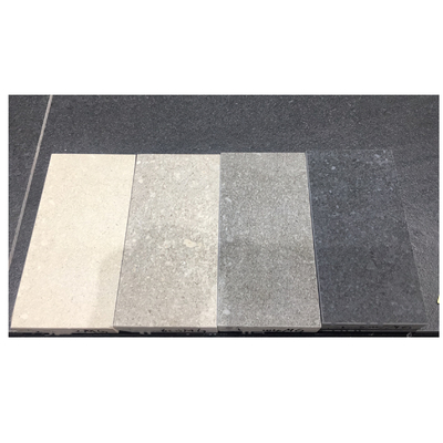 Waterabsorptie 0,5% 20 mm zwembad tegels en coping in steen imitatie textuur voor zwembad